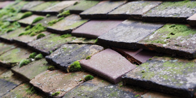 Dukinfield roof repair costs